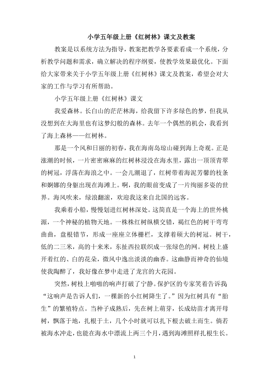 小学五年级上册《红树林》课文及教案_第1页