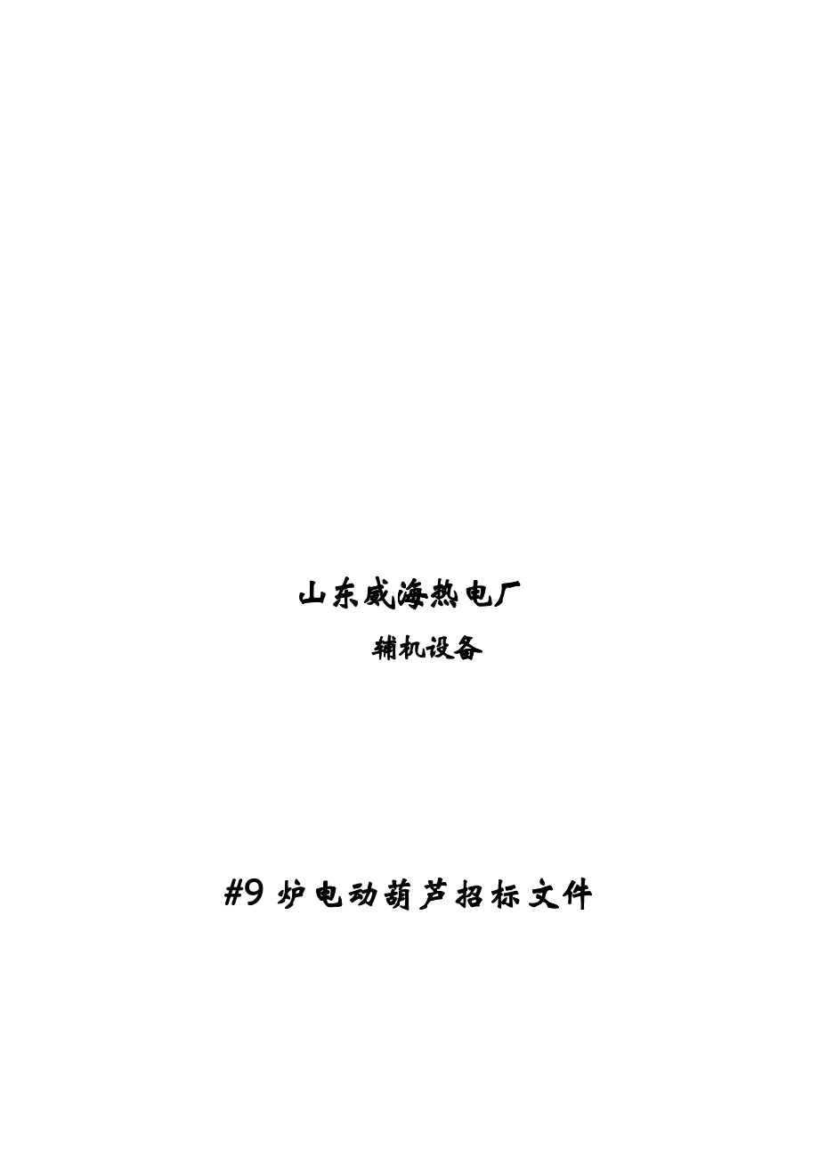 某热电厂#9炉电动葫芦招标文件_第1页