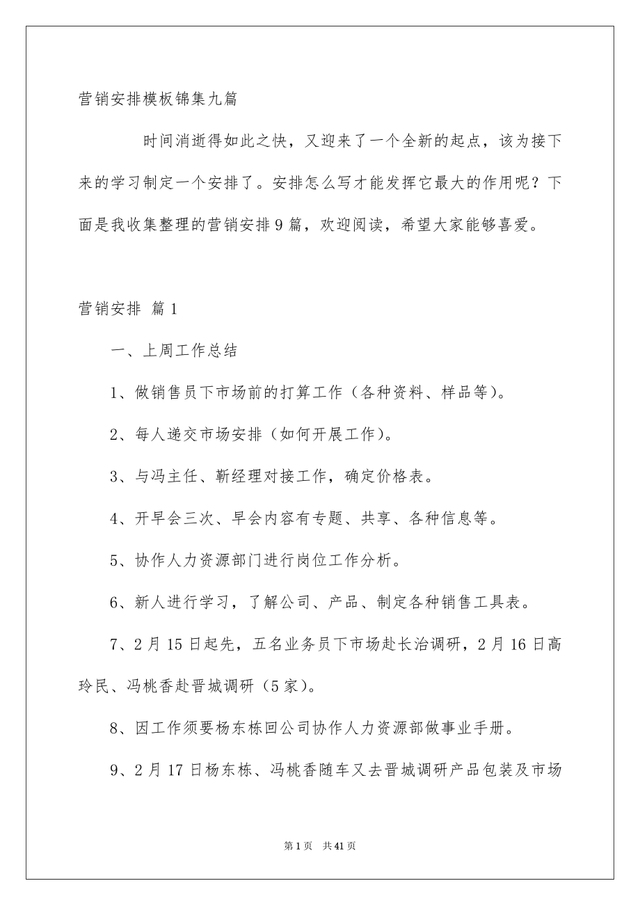 营销安排模板锦集九篇_第1页