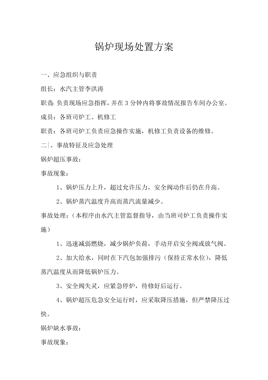 锅炉事故现场处置方案_第1页