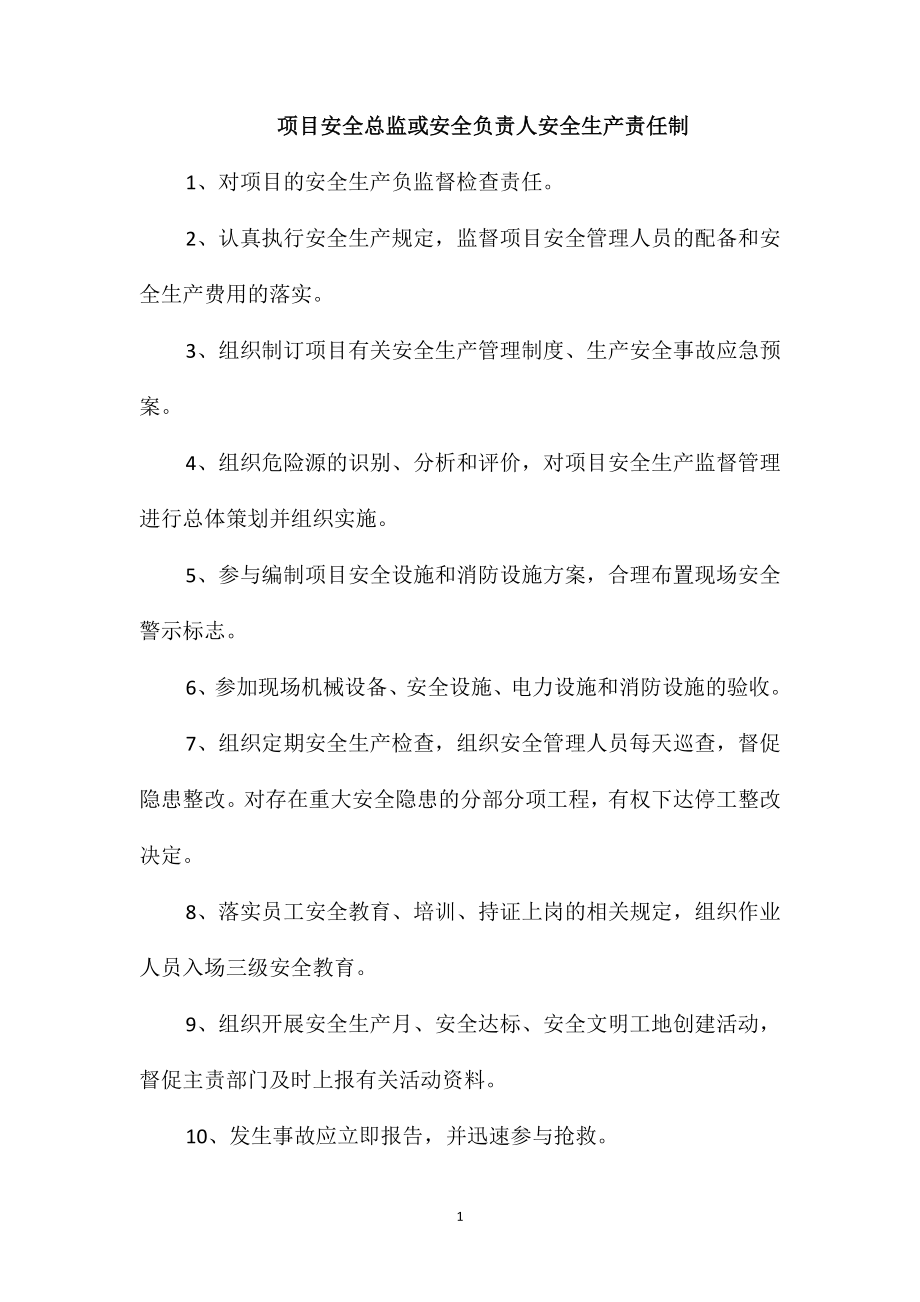 项目安全总监或安全负责人安全生产责任制_第1页