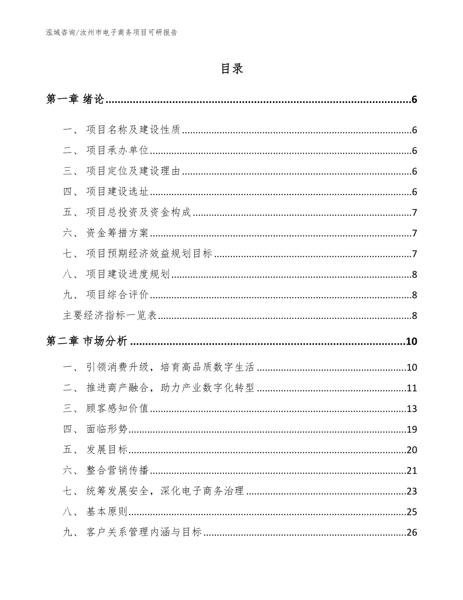 汝州市电子商务项目可研报告_模板_第1页